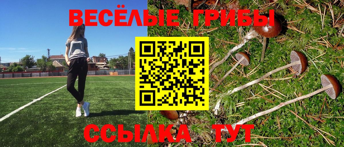 Галлюциногенные грибы Psilocybine cubensis  Вход с VPN  Ковров  купить наркоту  Псилоцибиновые грибы Cubensis 