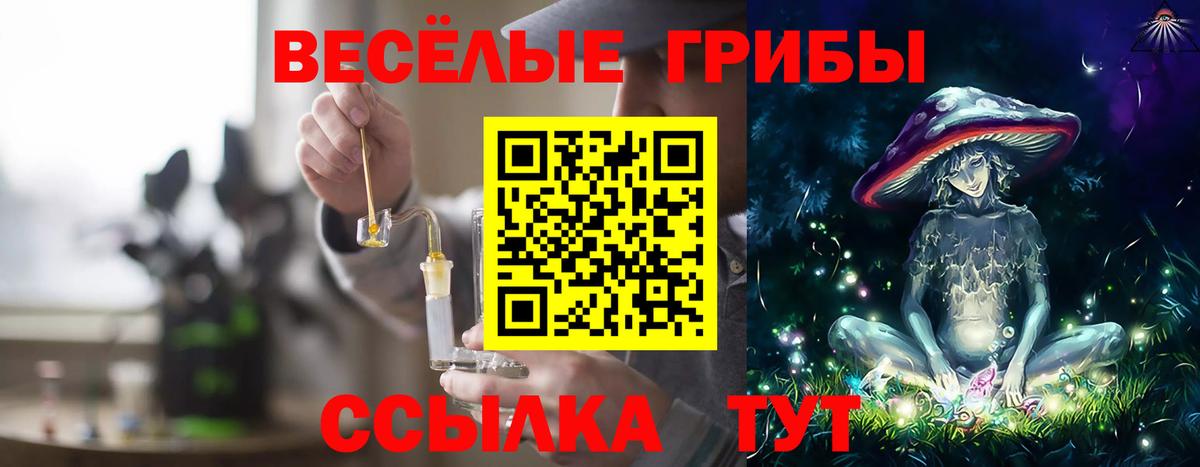 Псилоцибиновые грибы мицелий Ковров